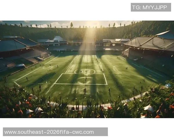 胡莱足球球衣的魅力与风采探秘,助你在球场上尽显风采与激情